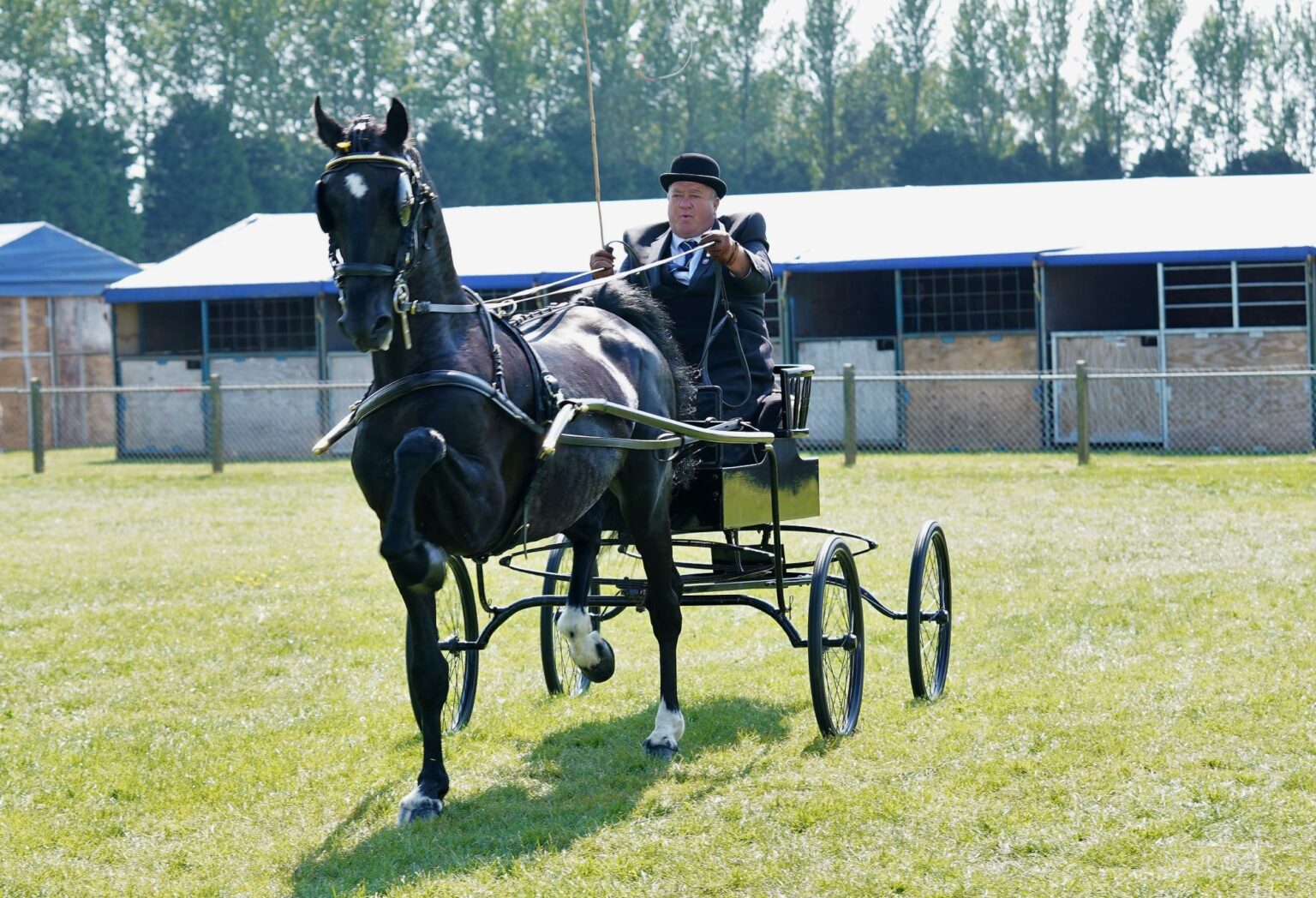 Hackney Horse Society in Essex